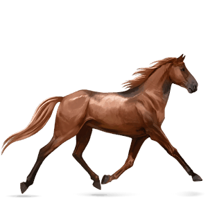 ridehest rød