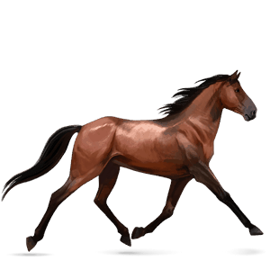 ridehest rød