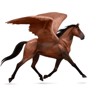 ridepegasus holstener kirsebærbrun