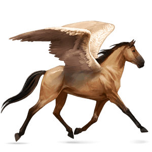 ridepegasus brun