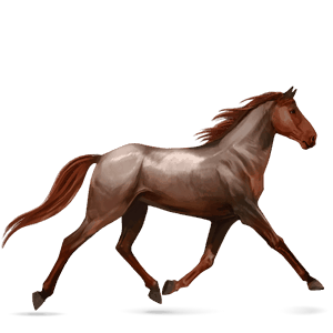 ridehest mustang brun
