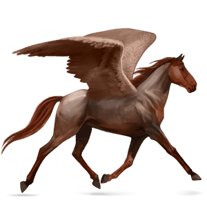 ridepegasus andalusier lysegrå