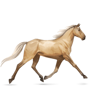 ridehest brun