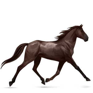 ridehest tennessee walker rød