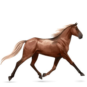 ridehest quarter horse rød med lys man og hale