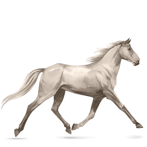 ridehest sort overo