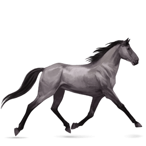 ridehest nokota skimmel
