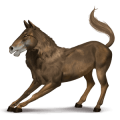 ridepegasus varhest