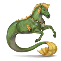 pony salamander