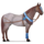 pony mark