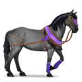 pony bjerg