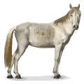 vild hest: ainos-pony