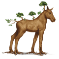 speciel hest: yggdrasil