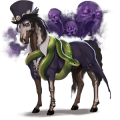 enhjørningepony shetlandspony sort