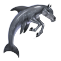 vild hest: delfin
