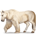 vild hest: isbjørn