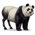 vild hest: panda