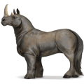 vild hest: næsehorn