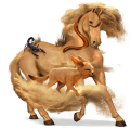 ridehest islænder brun