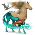 pony fjordhest brunblak