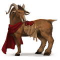 ridehest araber skimmel