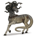pony fjordhest brunblak