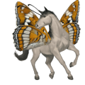 ridepegasus sort