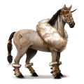 ridehest criollo brun tovero