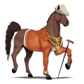 ridehest araber mørkebrun