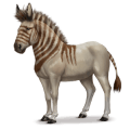 forhistorisk hest: europæisk vildæsel