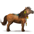 pony shetlandspony mørkebrun