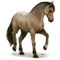 vild hest: lavradeiro