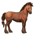 pony gråskimmel