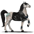 ridehest lipizzaner mørkebrun