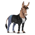 ridepegasus trakehner blakket