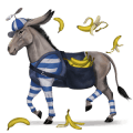 pony kerry bog brun