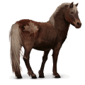 vild hest: sable island-pony