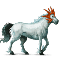 ridehest andalusier brun