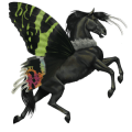 vandrende hest chrysiridia rhipheus