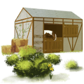 pony fjordhest rødblak
