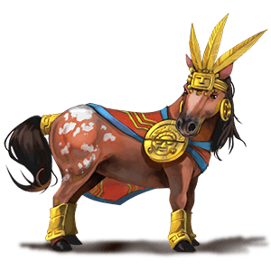 pony shetlandspony sort