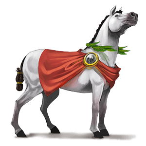 pony shetlandspony cremello