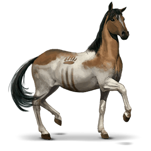 vild hest: chincoteague