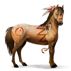 pony shetlandspony sort