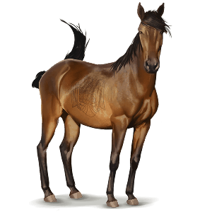 vild hest: donau-delta-hest