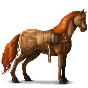 ridehest islænder skimmel