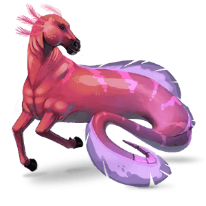 pony welsh blakket