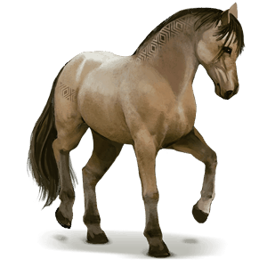 vild hest: lavradeiro