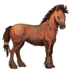 pony connemara rød