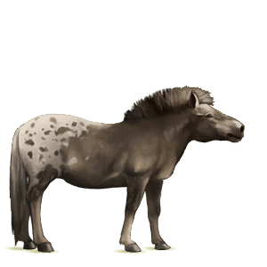 ridehest tennessee walker mørkebrun